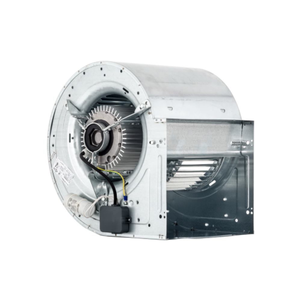 CBM Fanlar